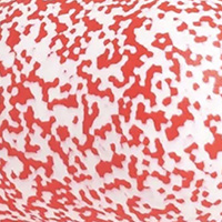 Dalmatian Red