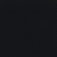 Black Schwarz Torro Leather