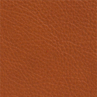 British Tan Leather