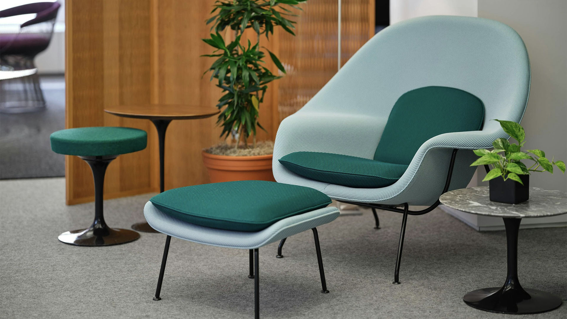 Womb Lounge Chair, Lifestyle