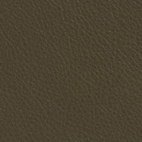 Olive Leather