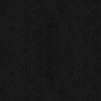 Black Leather