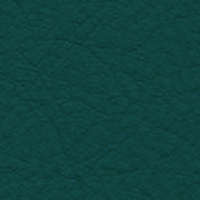 Alpine Leather