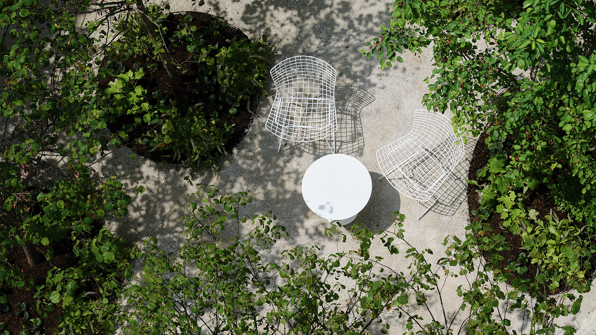 Bertoia Side Chair, Outdoor