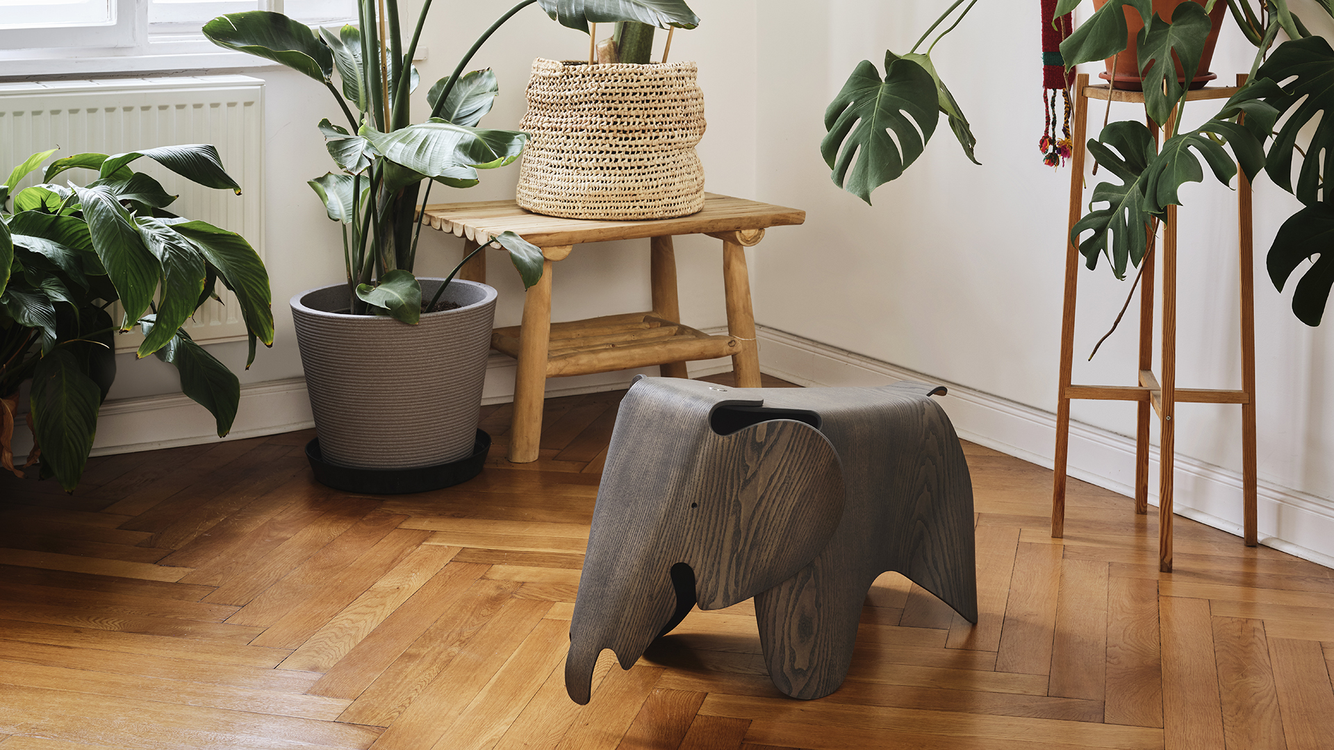 Eames Elephant, Grey Plywood, Lifestyle