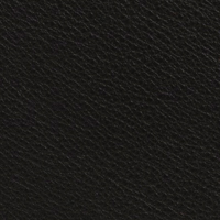 Black Leather