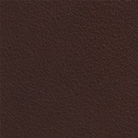 Dark Brown Leather