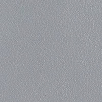 Platinum Gray Leather