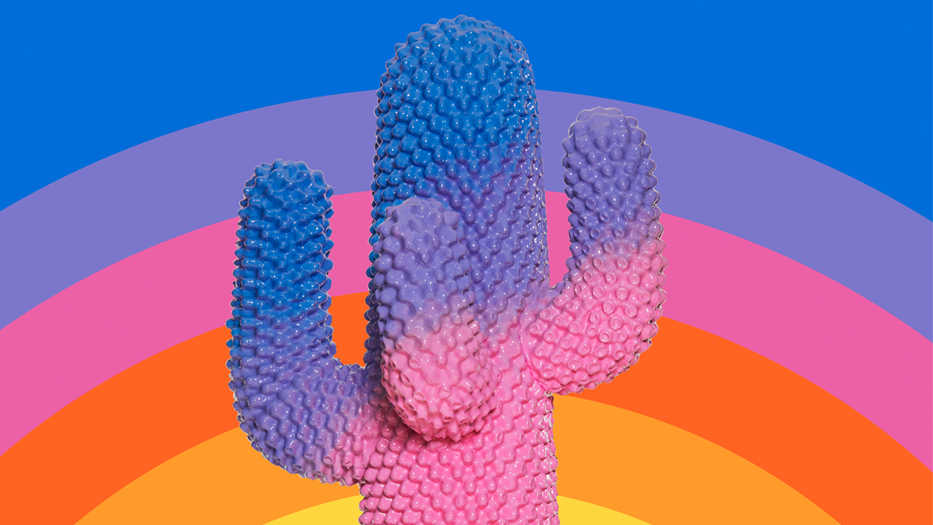 Sunrise Cactus