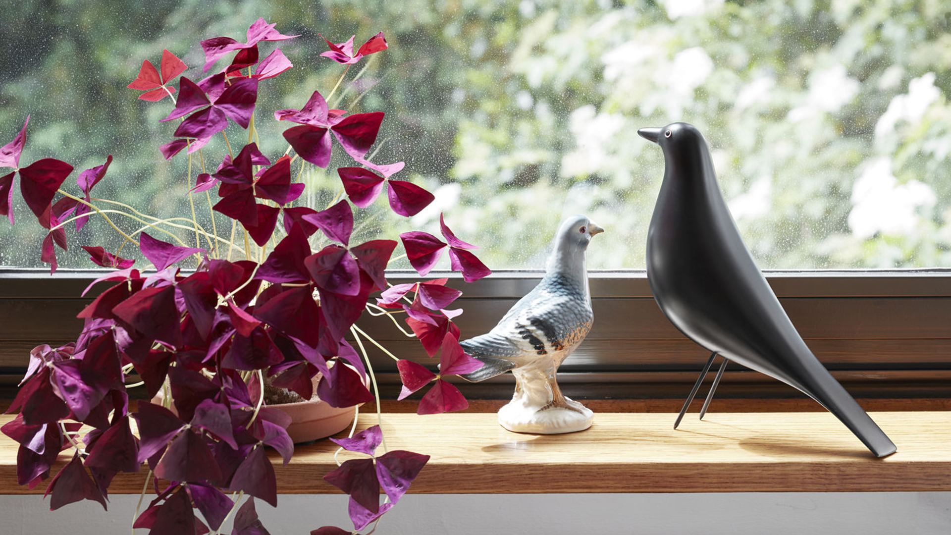 charles and ray eames bird