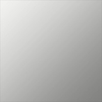 Polished Aluminum