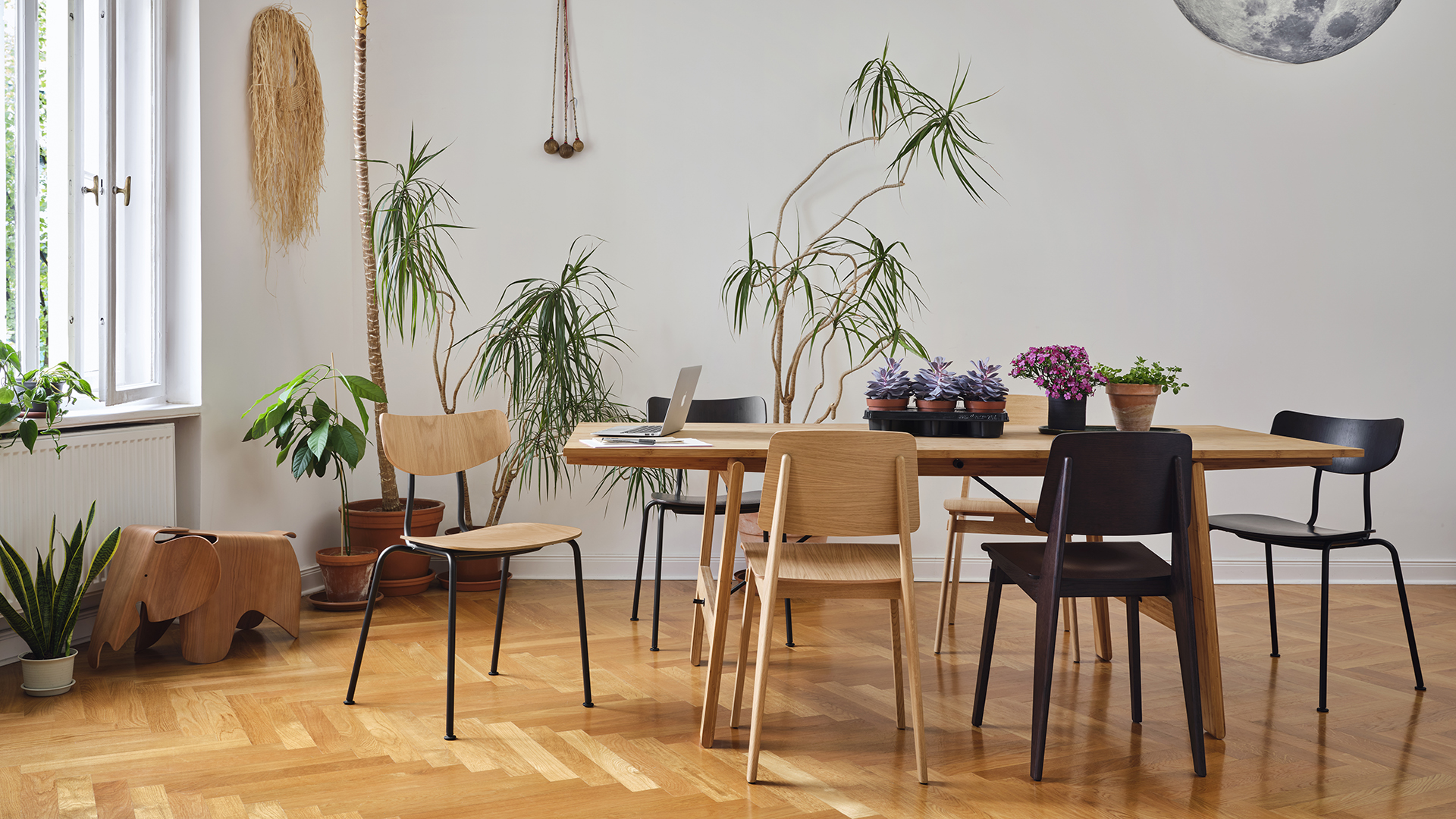 Moca Chair, Lifestyle