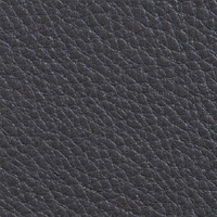 Anthracite Leather