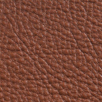 Chestnut Brown Leather