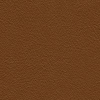 Brown Leather