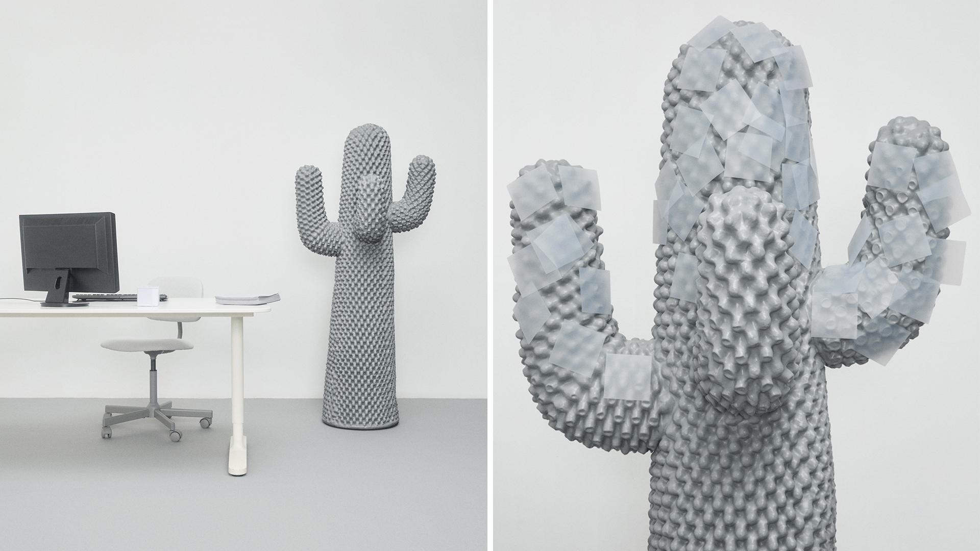 Boring Cactus, Lifestyle