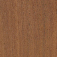 American Walnut