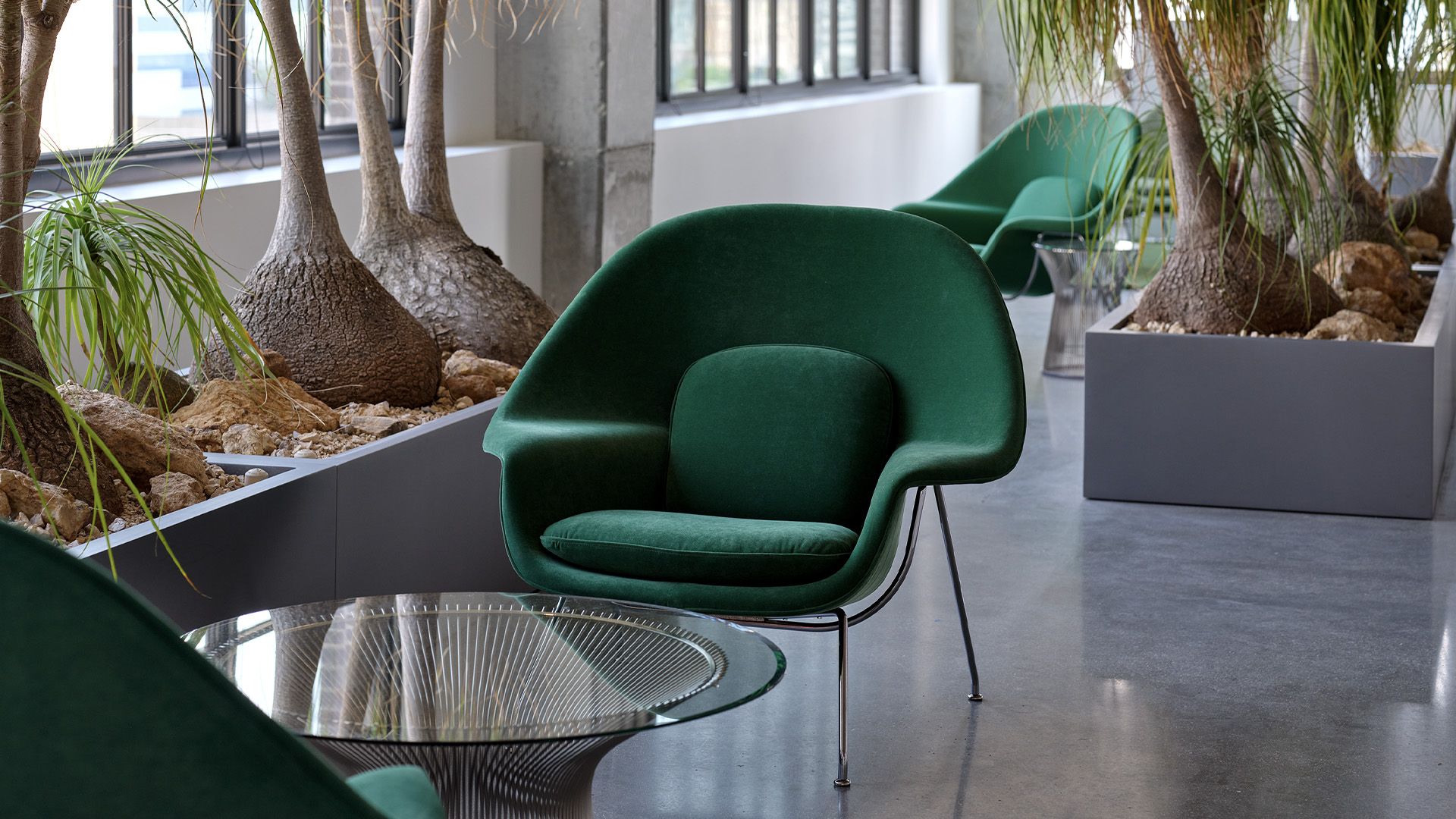 Womb Chair, Medium, Lifestyle