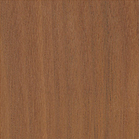 American Walnut