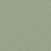 Green Leather