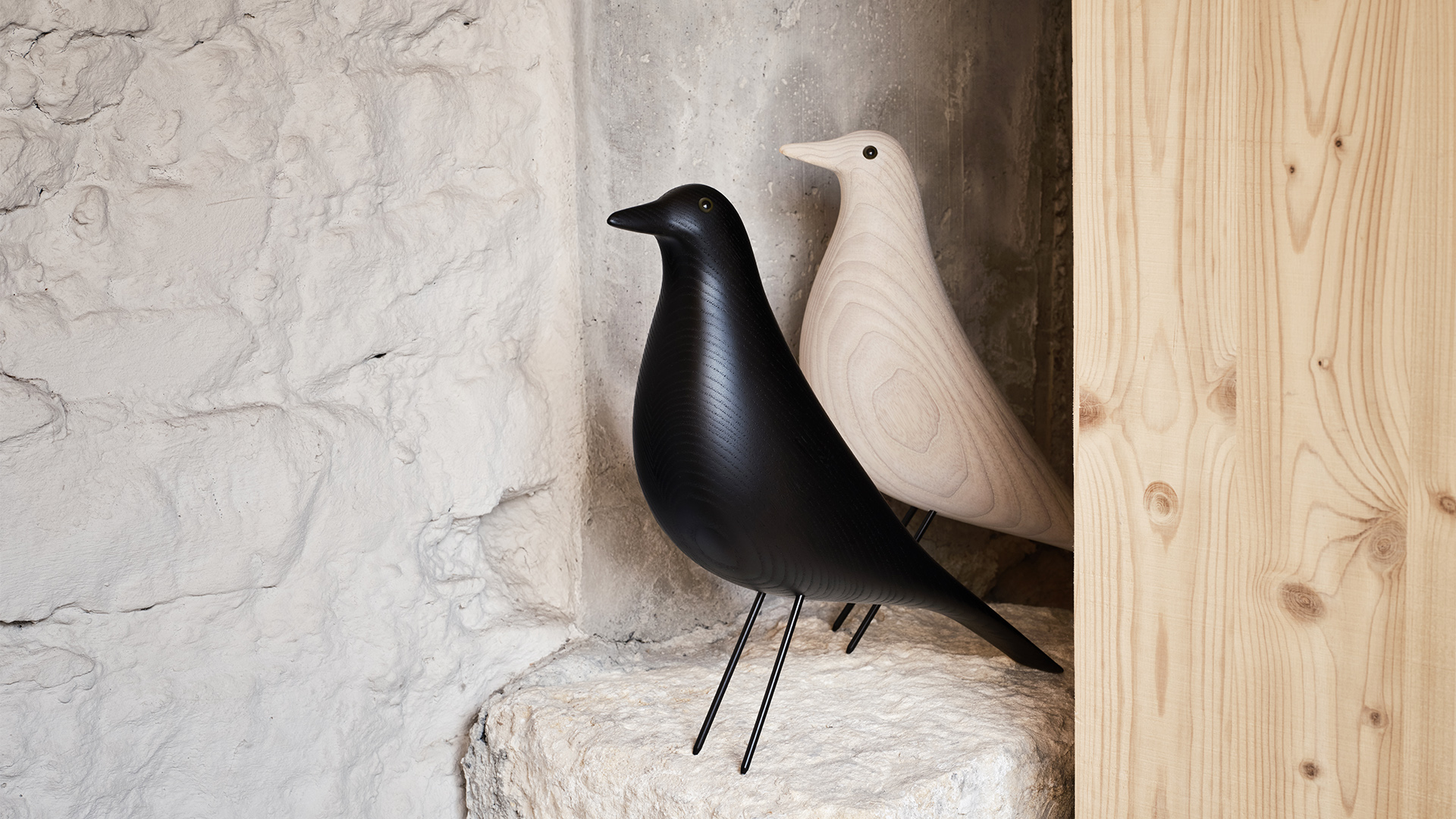 Eames House Bird, Lifestyle