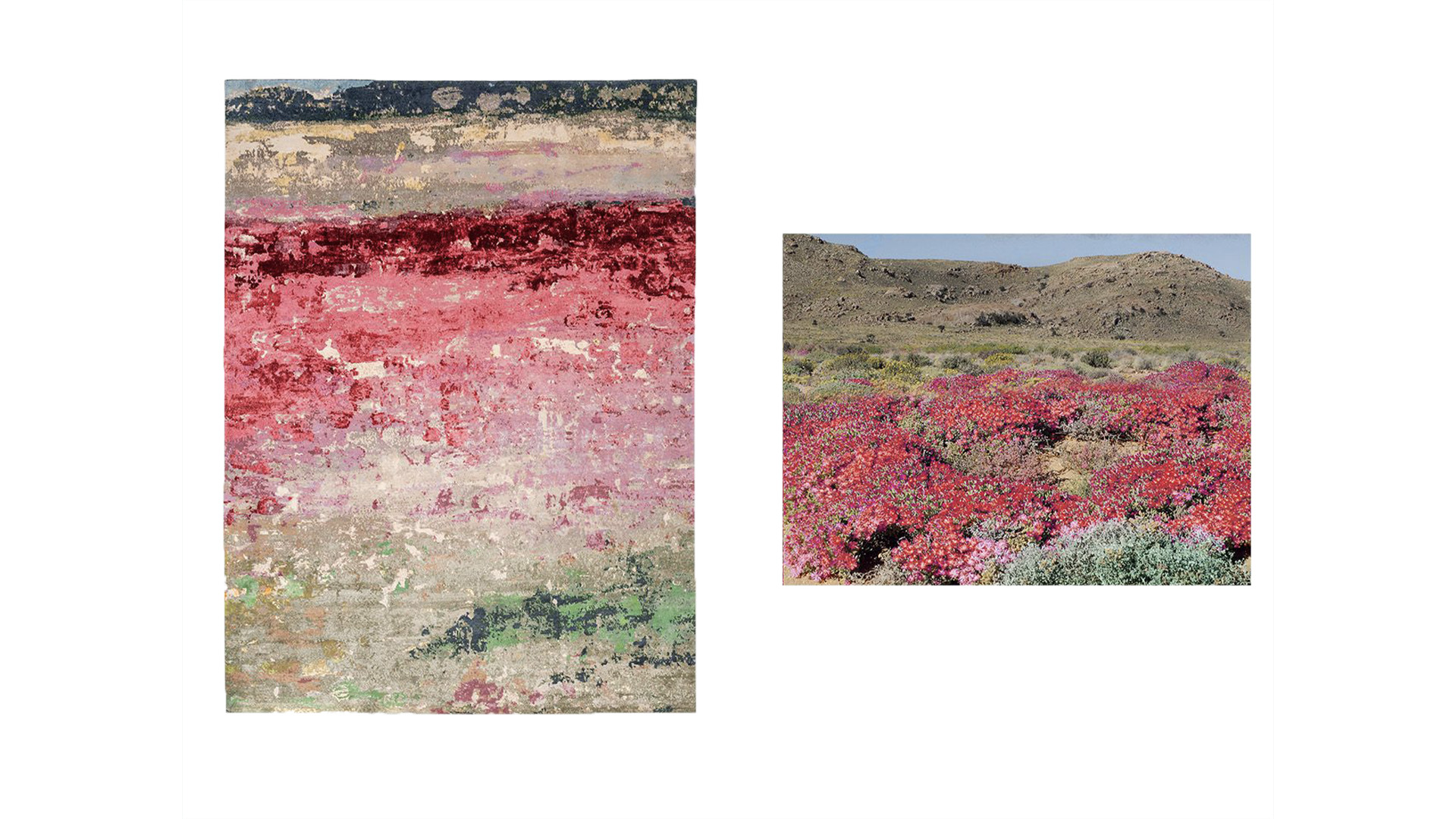 Legends of Carpets, Ilanga Rug, Lifestyle