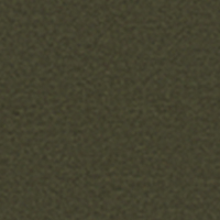 Hearth 009