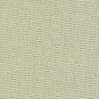 Green Tea Canvas