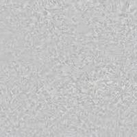 Galvanised