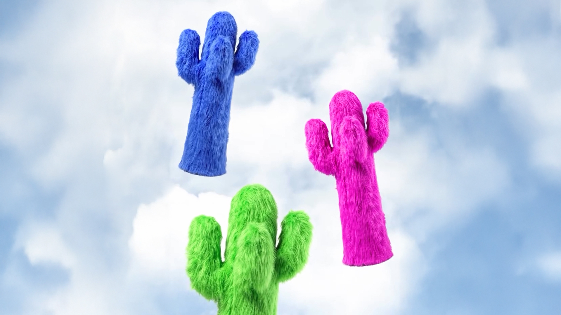 Cactus Fur Cover, Lifestyle