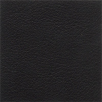 Black Leather