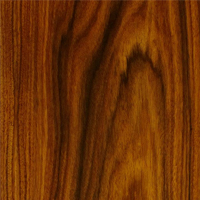 Santos Palisander