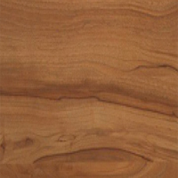 American Black Walnut