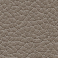 Mink Leather
