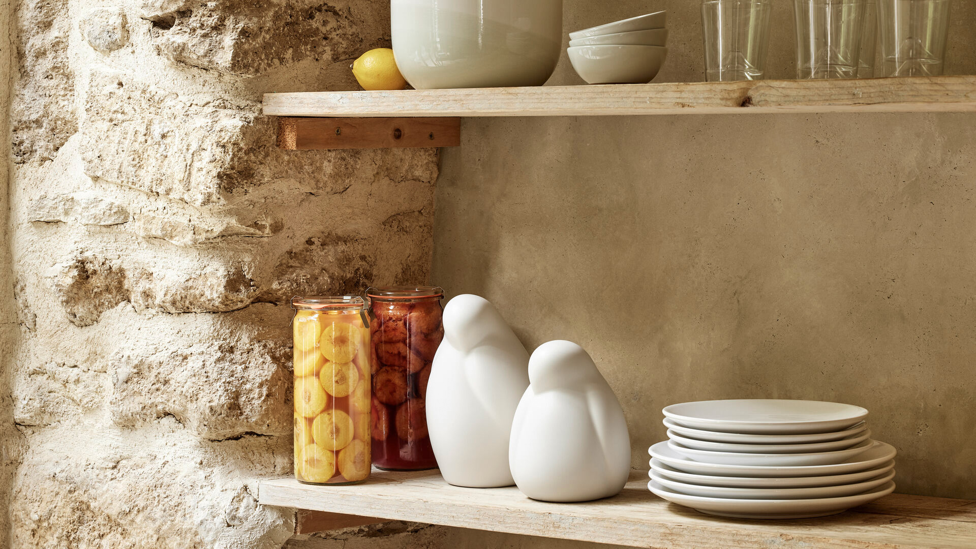 Resting Bird, Lifestyle