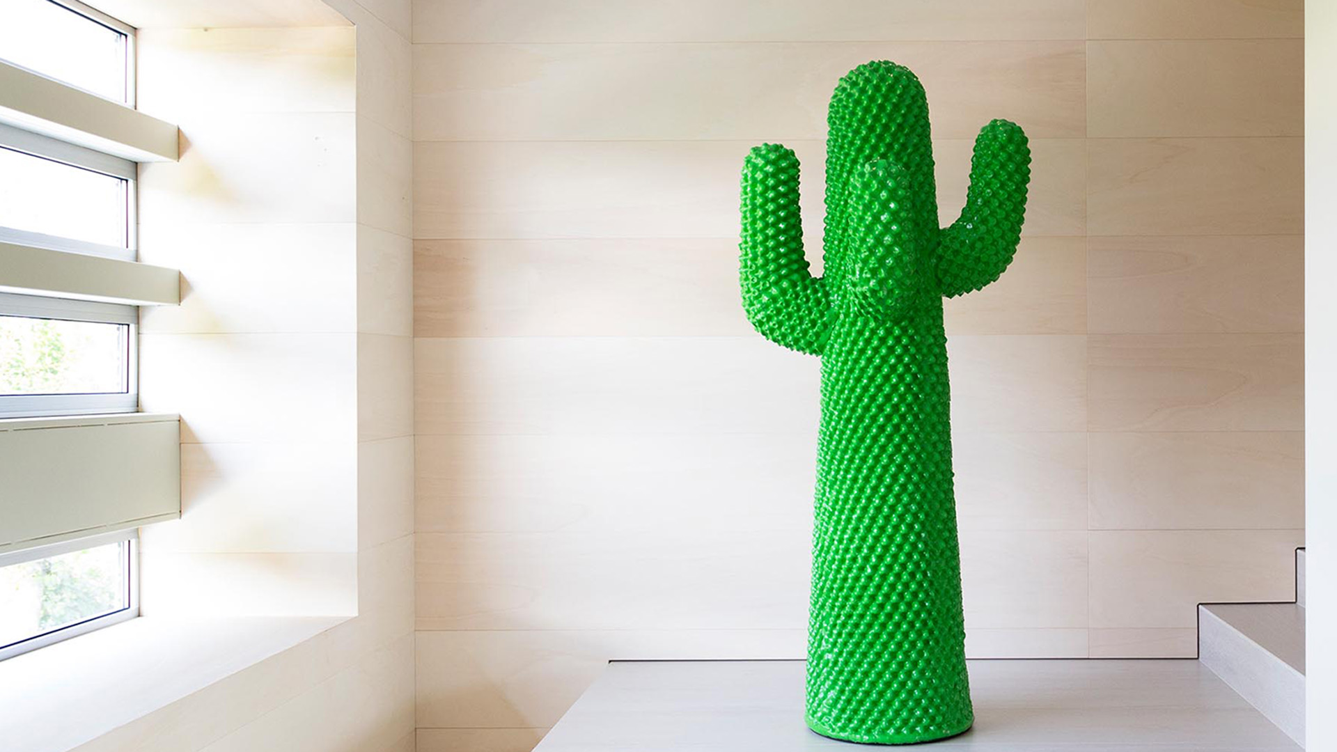Cactus, Lifestyle