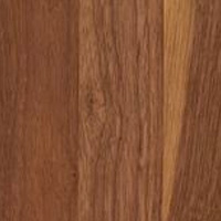 Nutwood with Sapwood