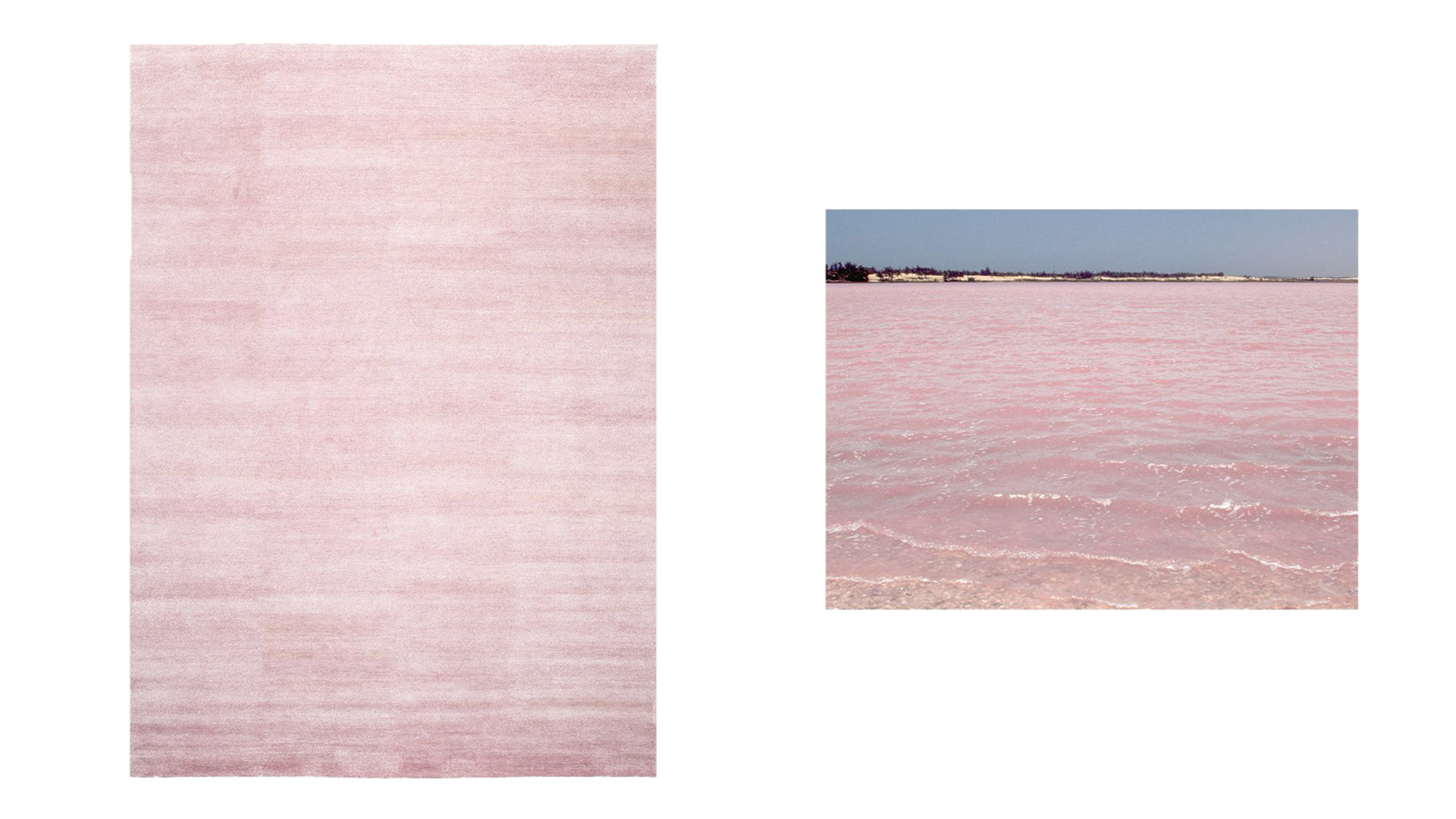 Legends of Carpets, Ajabu Rug, Lifestyle