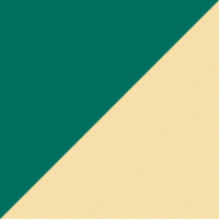 Mint Green & Powder Yellow