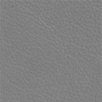 Platinum Grey Elegant Leather