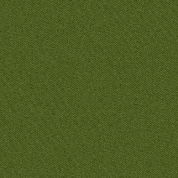 Evergreen Utopia