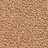 Camel Leather